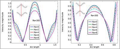 Fluid-structure interaction study of bio-magnetic fluid in a wavy bifurcated channel with elastic walls